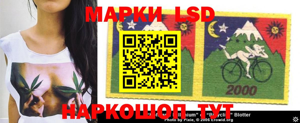 LSD-25 экстази  Вход с VPN  Камышин  OMG как войти  ЛСД экстази ecstasy 