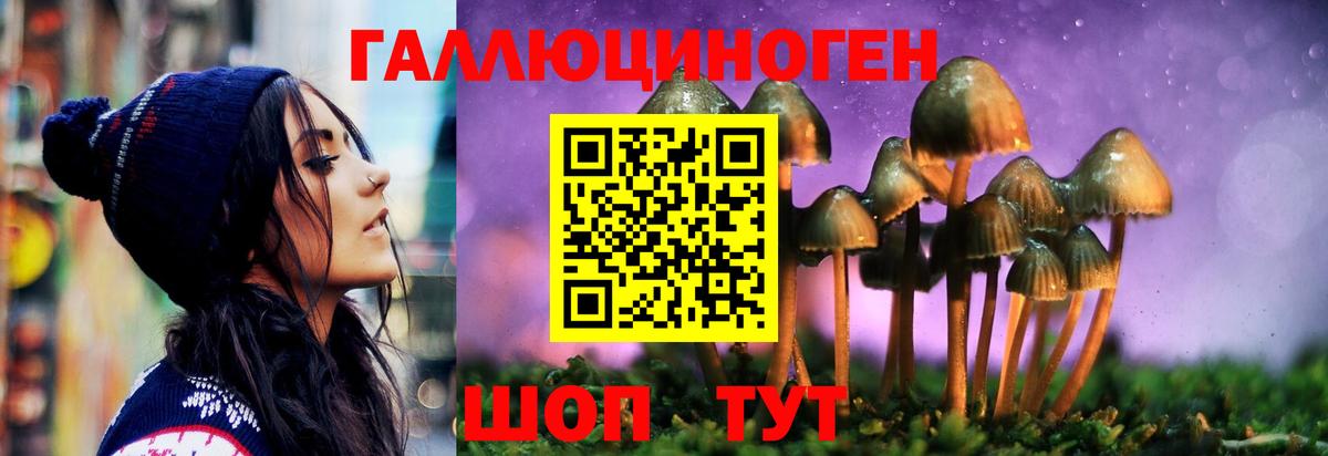 Галлюциногенные грибы прущие грибы  цены наркотик  Камышин  Вход с VPN 